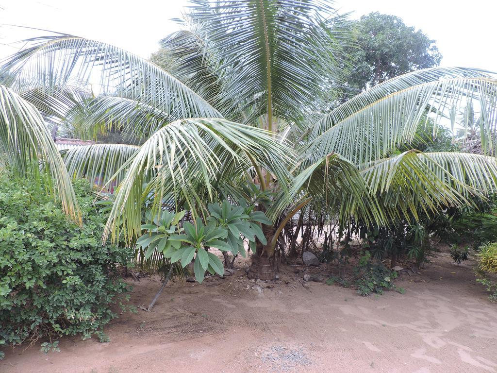 Coco Bay - Arugam Bay Hotel Buitenkant foto