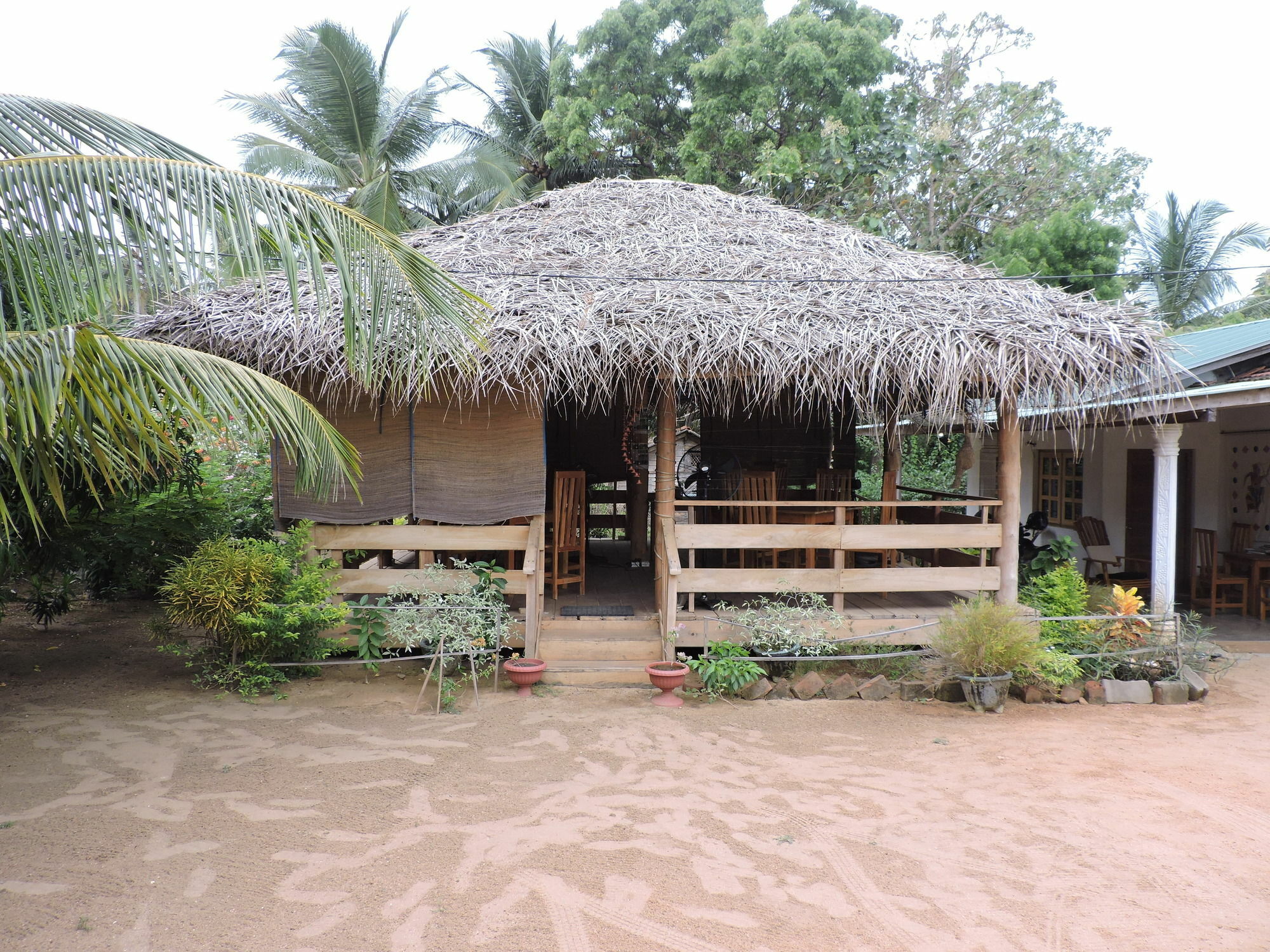 Coco Bay - Arugam Bay Hotel Buitenkant foto